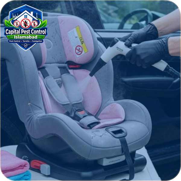 Car Seat Cleaning