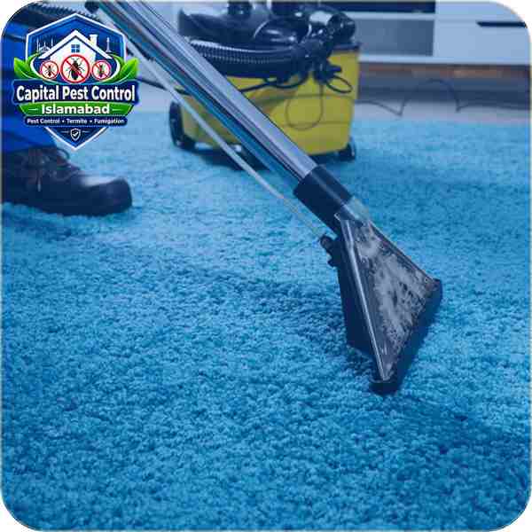 Carpet Rug Cleaning