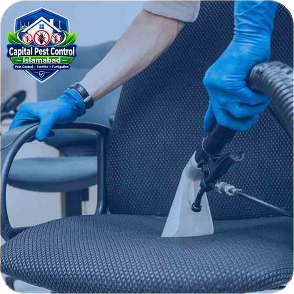 Chair Cleaning