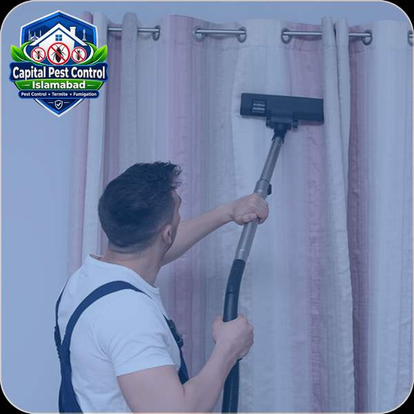 Curtain Cleaning