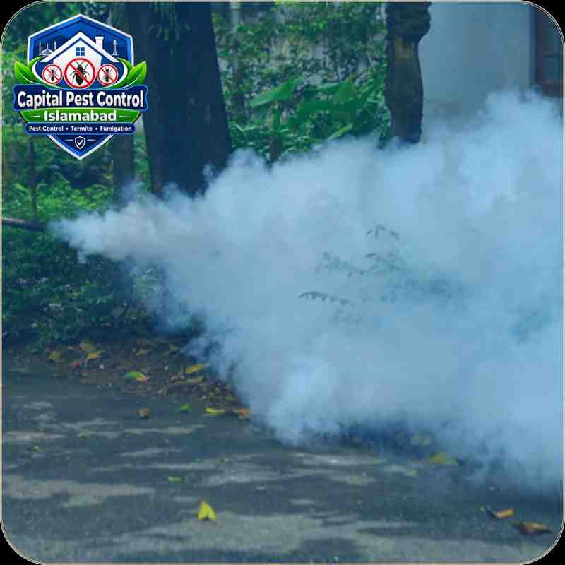 Dengue Mosquito Spray