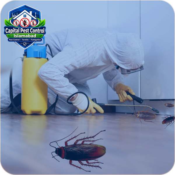 Fumigation Services