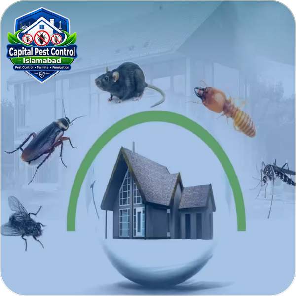 General Pest Control