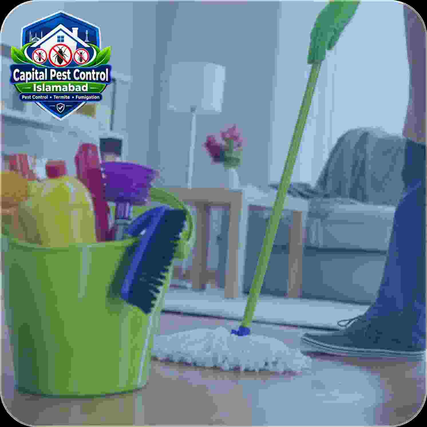 Home Deep Cleaning