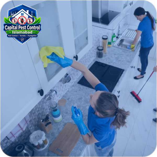 Kitchen Deep Cleaning