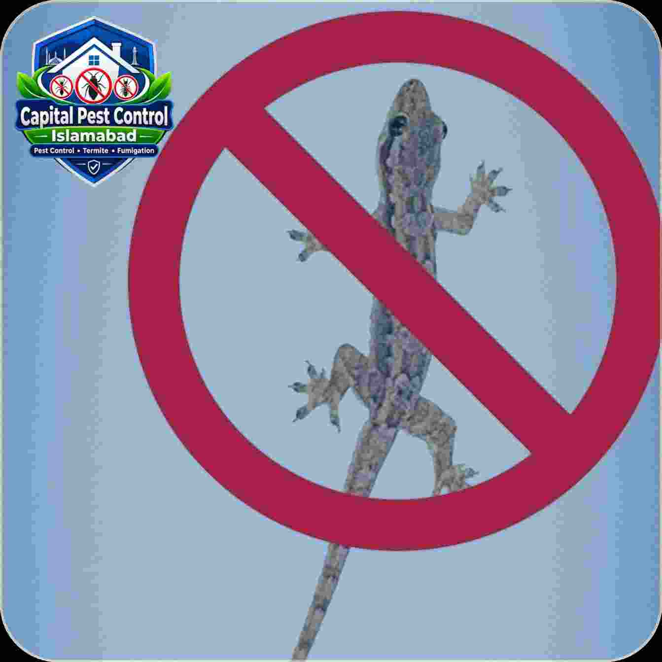 Lizard Control