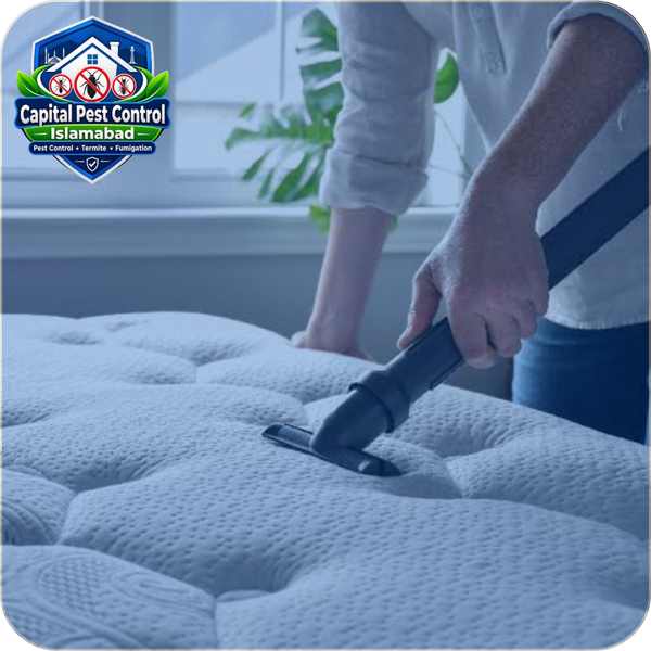 Mattress Cleaning