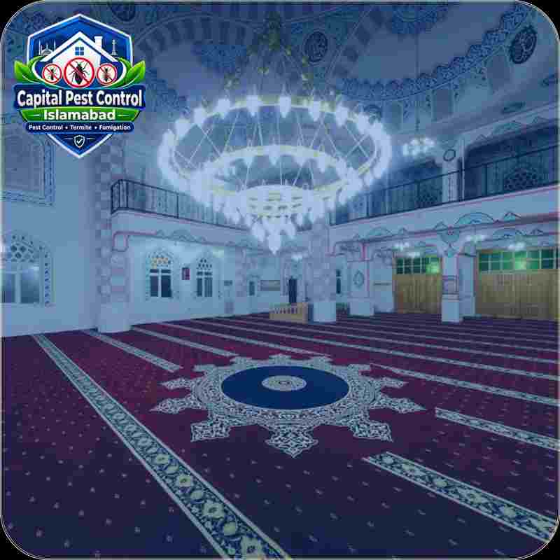 Mosque Carpet Cleaning