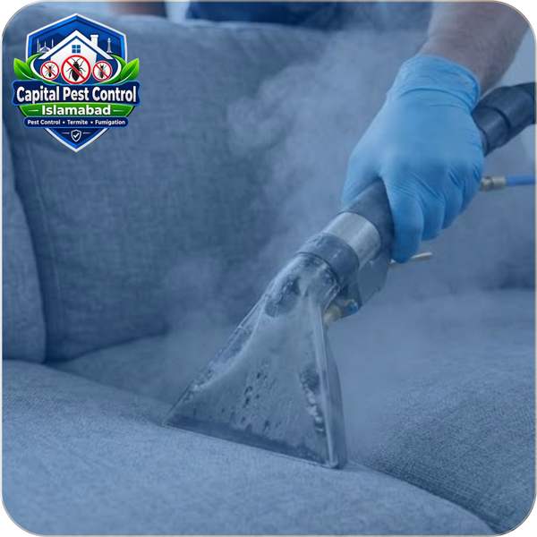 Sofa Upholstery Cleaning
